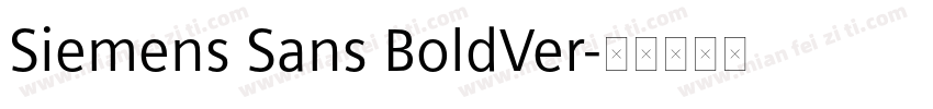 Siemens Sans BoldVer字体转换